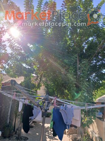 Tree pruning - Liopetri, Famagusta